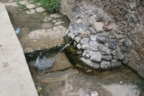 ���� ������